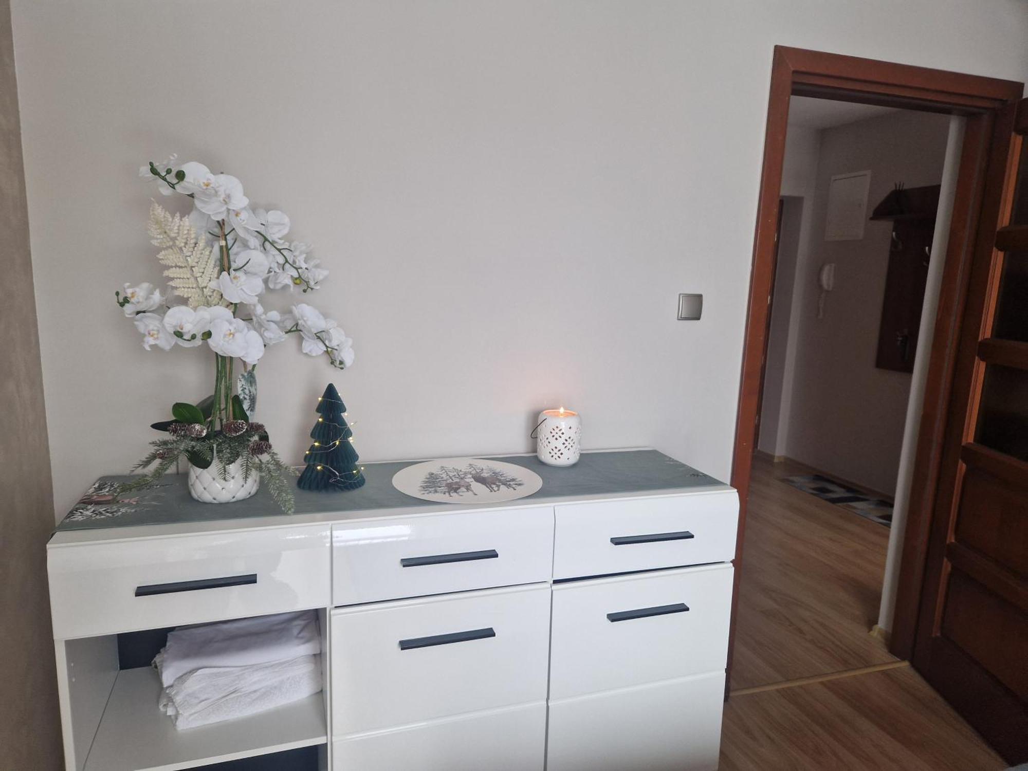 Apartament Kasprowy Kościelisko Kültér fotó